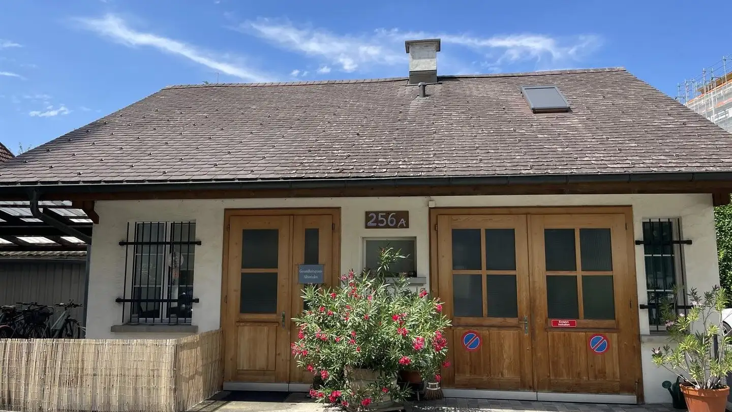 Gewerbe mieten - Albisriederstrasse 256a, 8047 Zürich - Foto 3