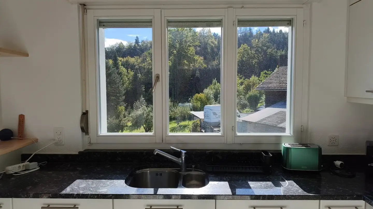 Apartment for rent - Erlenstrasse 11, 8134 Adliswil - Photo 4