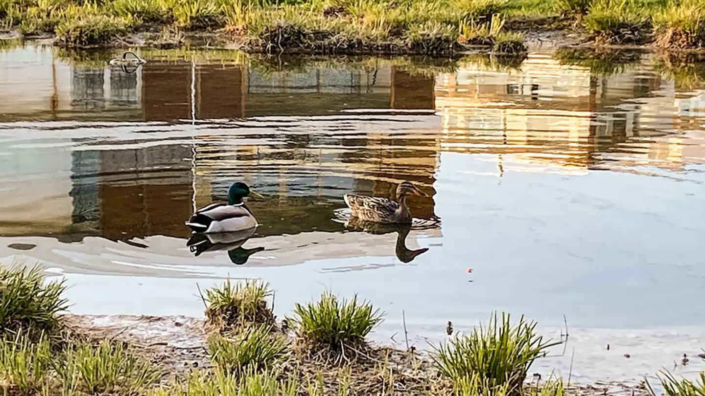 Appartement à vendre - 1052 Le Mont-sur-Lausanne