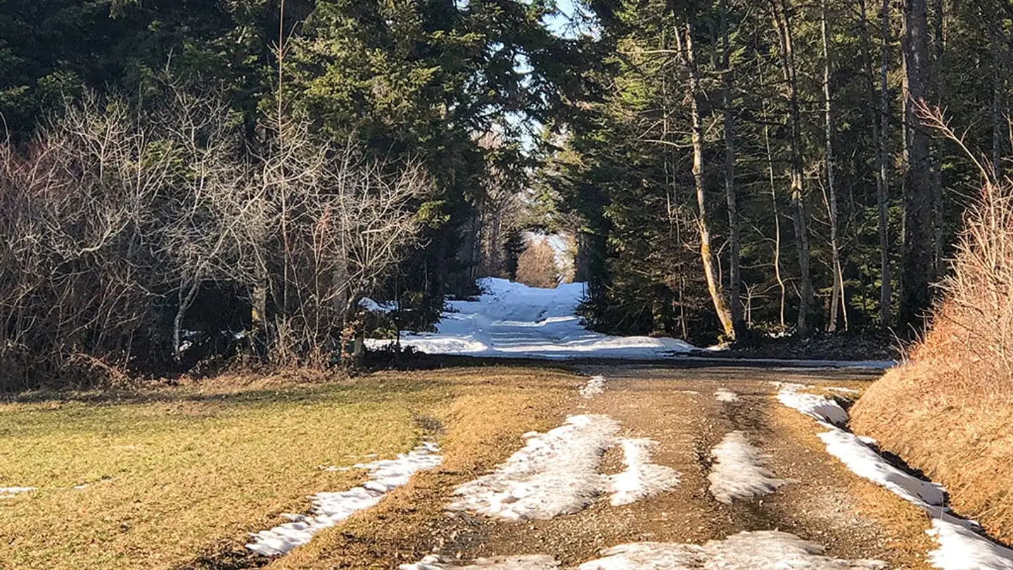 Appartamento in vendita - 1052 Le Mont-sur-Lausanne - Foto 2