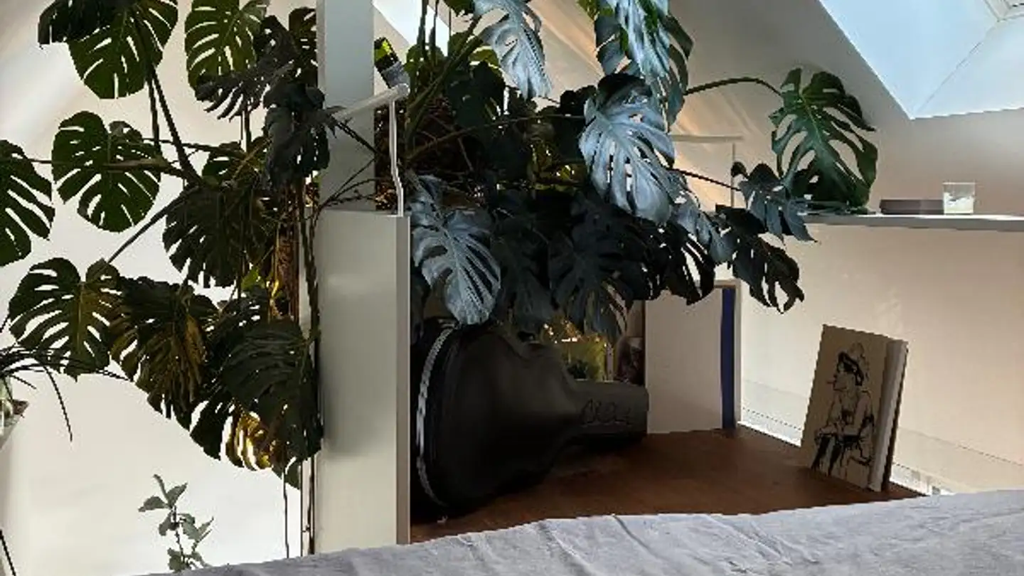 Penthouse for rent - Nussbaumstrasse 8, 8003 Zürich - Photo 4