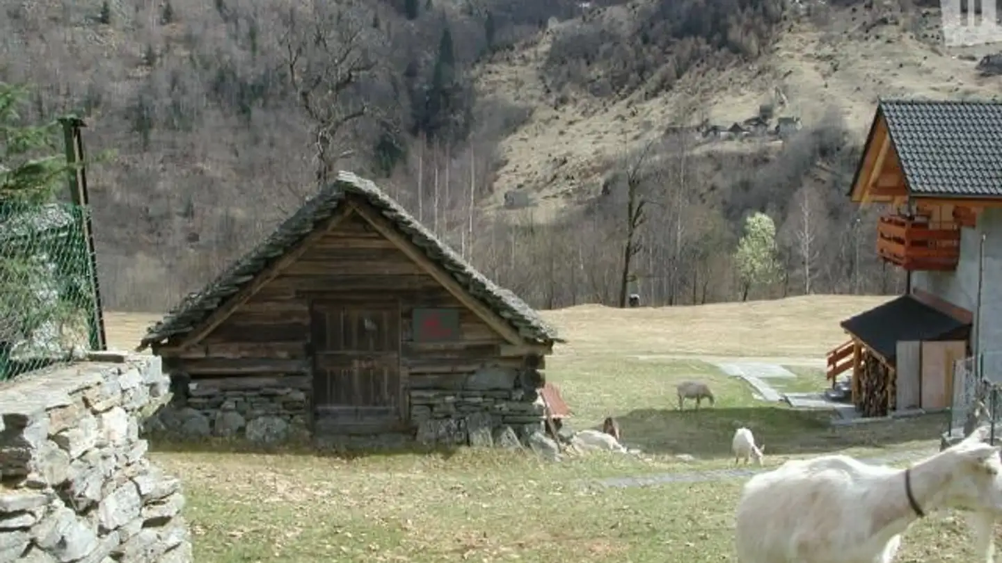 Casa singola in vendita - 6684 Campo (Vallemaggia) - Foto 3