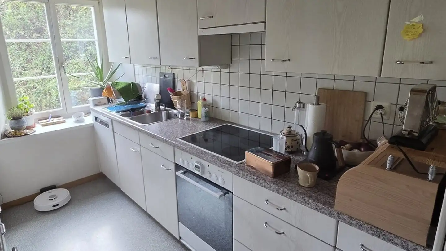 Furnished apartment for rent - 8820 Wädenswil - Photo 3