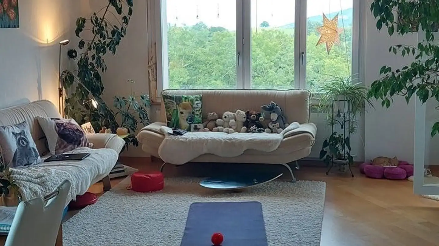 Appartamento in affitto - Bruggwiesen 1, 9300 Wittenbach