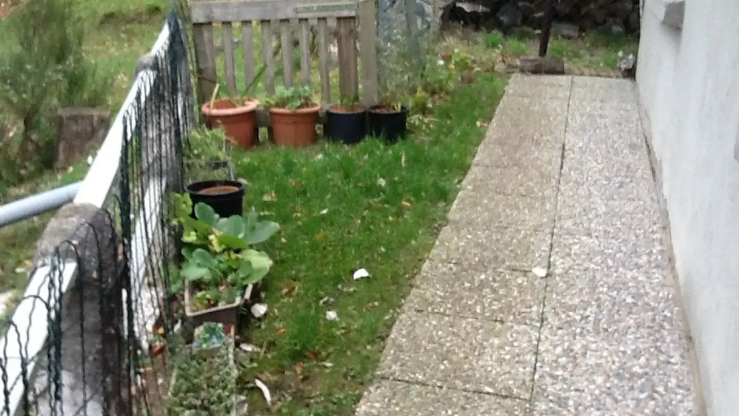 Casa singola in vendita - 6528 Camorino - Photo 3