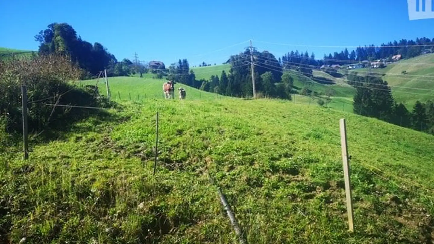 Einfamilienhaus kaufen - 3438 Lauperswil - Foto 2