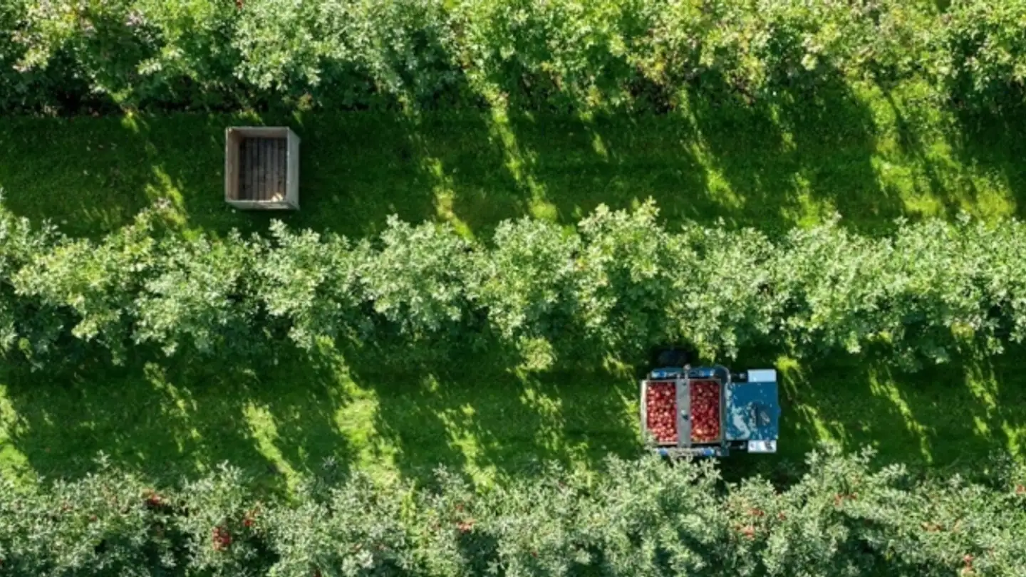 Einfamilienhaus kaufen - 3073 Gümligen - Foto 3