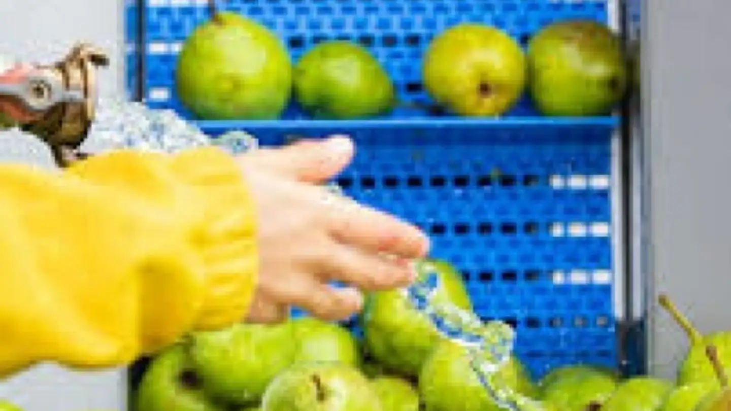 Einfamilienhaus kaufen - 3073 Gümligen - Foto 4