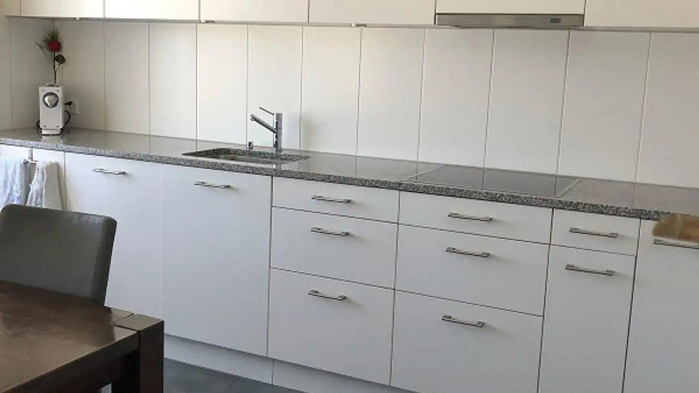 Appartamento in affitto - Aechelistrasse 18, 9435 Heerbrugg - Photo 3