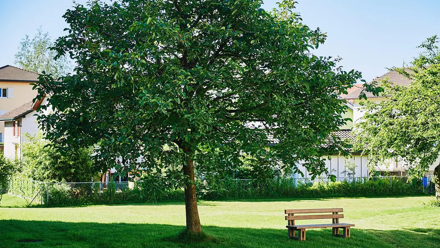 Appartamento in affitto - Aechelistrasse 18, 9435 Heerbrugg - Photo 4