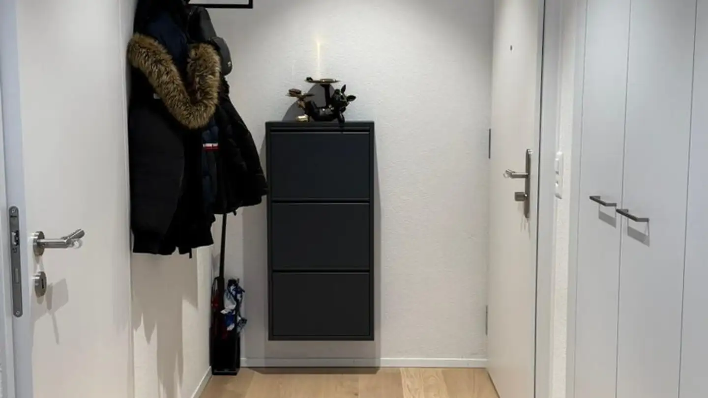 Appartamento in affitto - Ottenbacherstrasse 2b, 8912 Obfelden - Foto 3