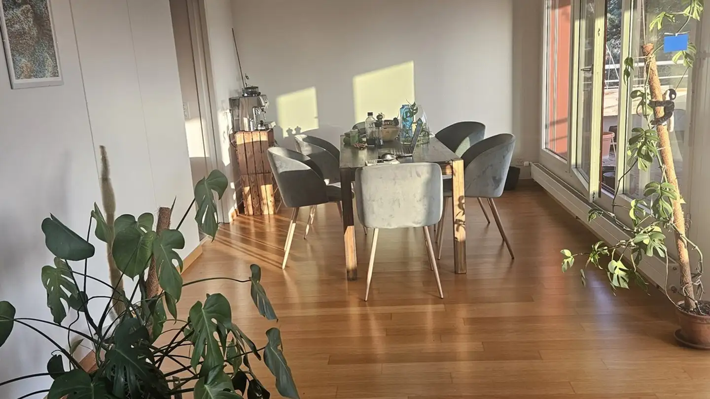 Single room for rent - 6300 Zug - Photo 3