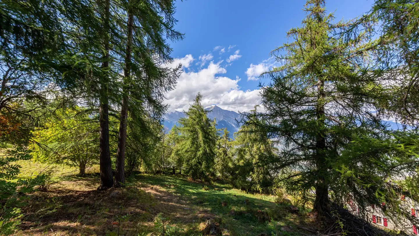 Chalet for sale - 1997 Haute-Nendaz - Photo 2