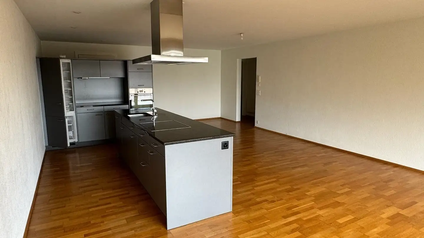 Appartamento in affitto - Katzenbachstrasse 219, 8052 Zürich