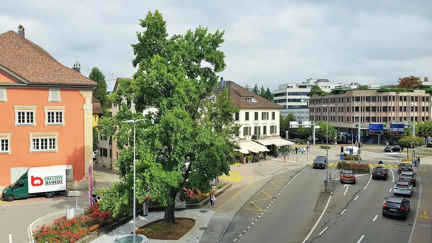 Office space for rent - 8640 Rapperswil SG