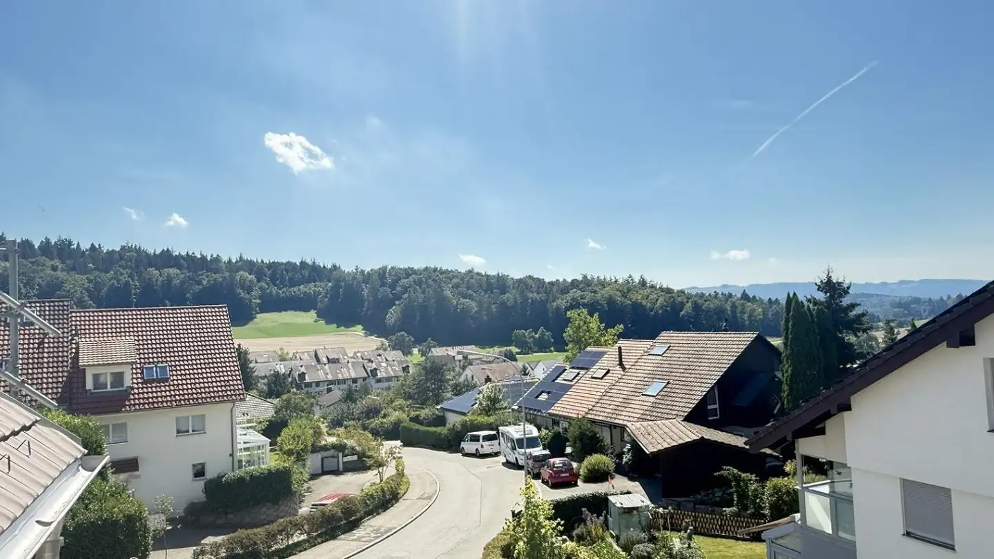 Penthouse mieten - Hofwiesenstrasse 45, 8113 Boppelsen - Foto 2