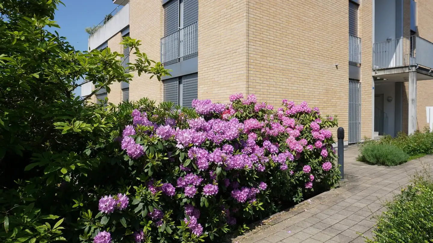 Appartamento a gradini in affitto - Hinterbächlistrasse 12, 5452 Oberrohrdorf - Foto 4