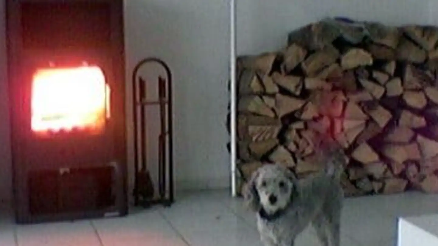 Wohnung mieten - Dorfstrasse 35a, 3366 Bettenhausen