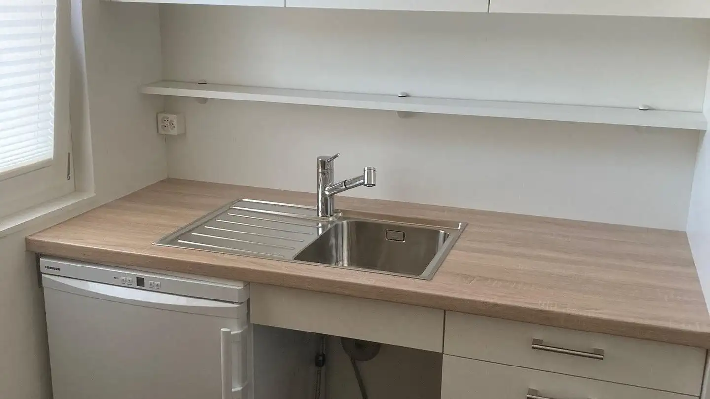 Department store for rent - Riedmattächer 4, 5623 Boswil - Photo 3