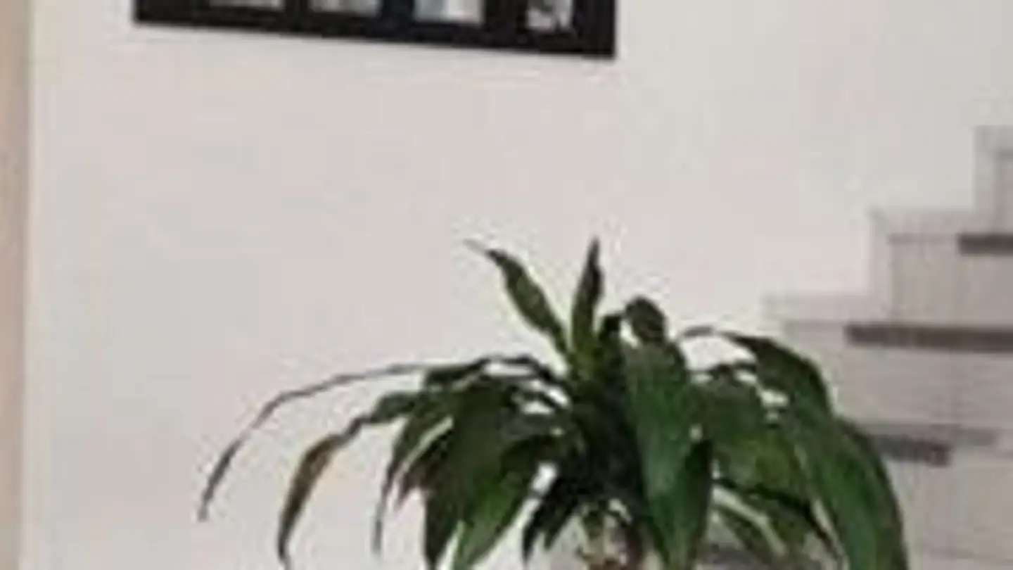 Wohnung mieten - Dorfstrasse 35a, 3366 Bettenhausen - Foto 3