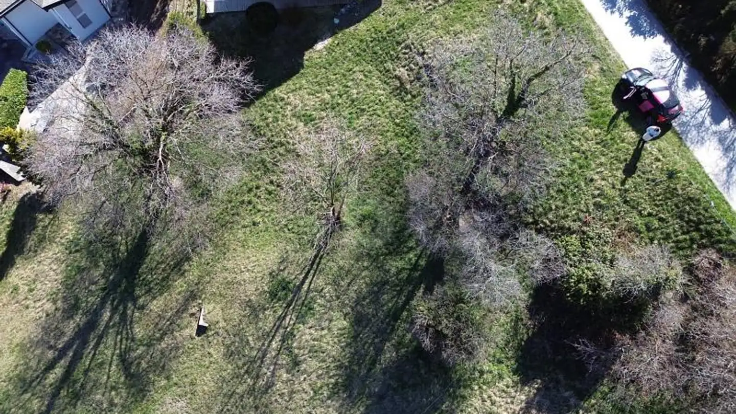 Constructible plot for sale - 3973 Venthône