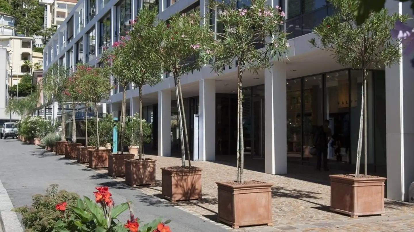 Appartamento in affitto - Viale Bartolomeo Papio 3, 6612 Ascona - Photo 4