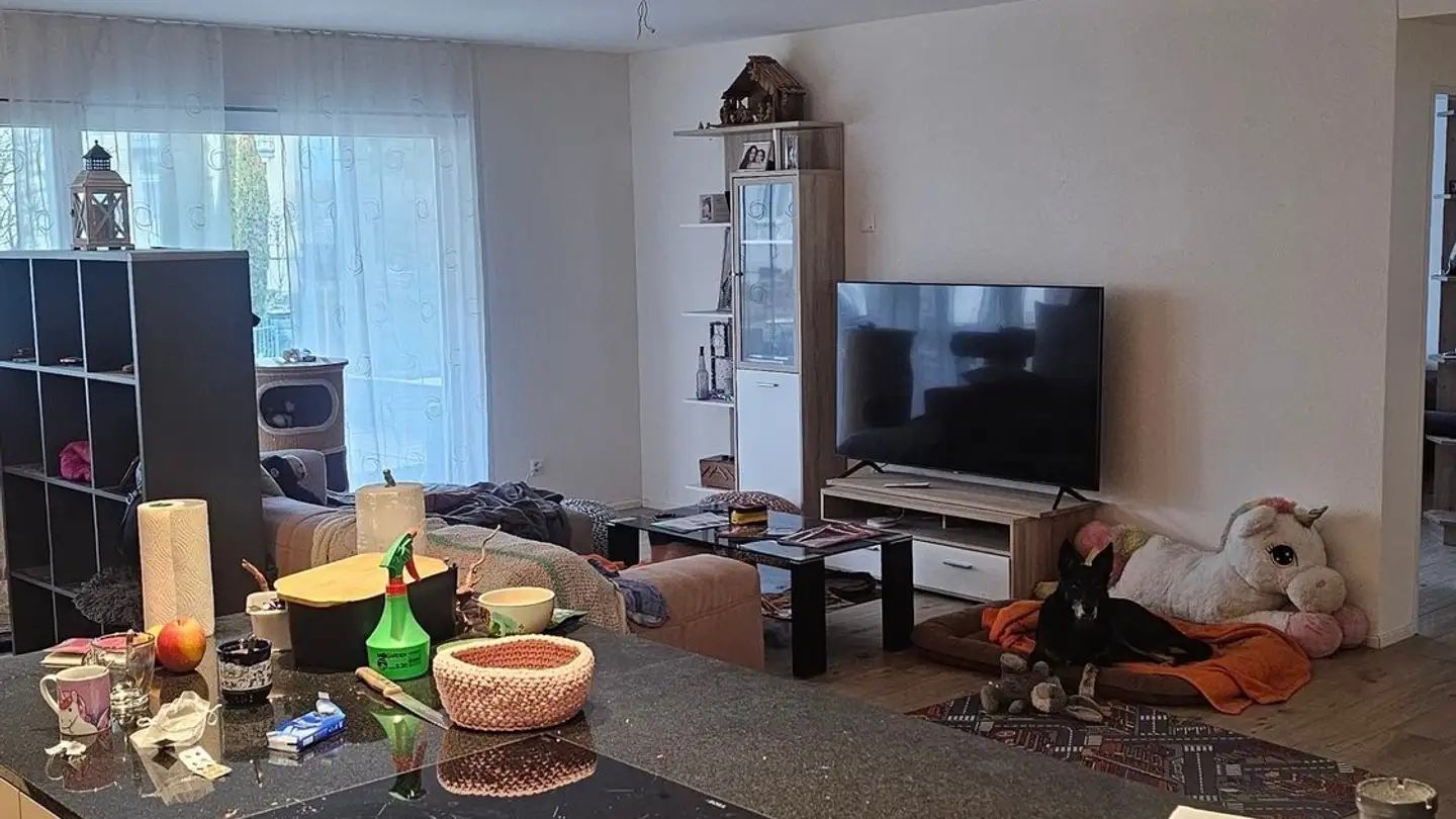 Apartment for rent - 6221 Rickenbach LU - Photo 3