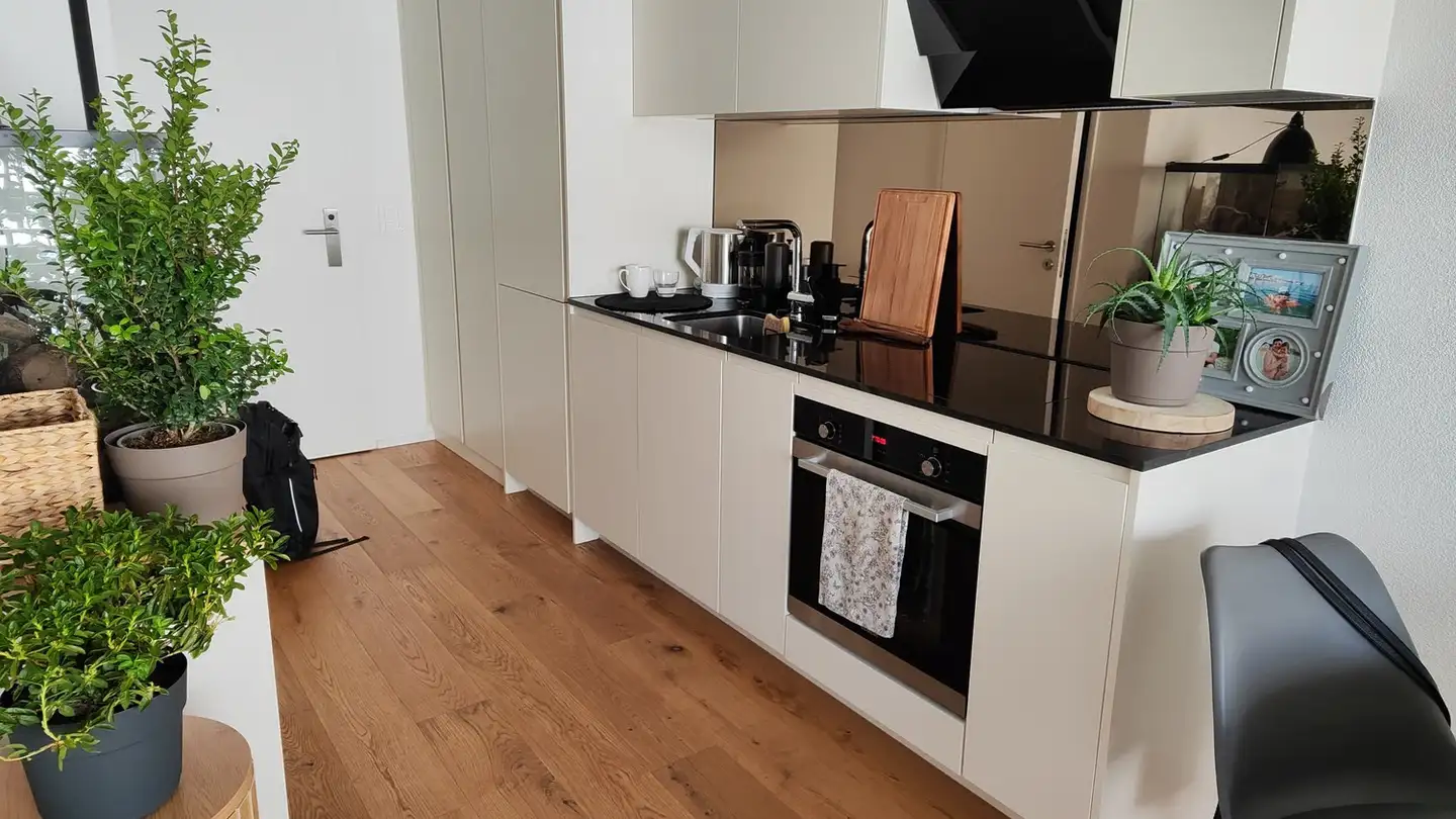 Apartment for rent - Luzernstrasse, 6208 Oberkirch LU - Photo 3