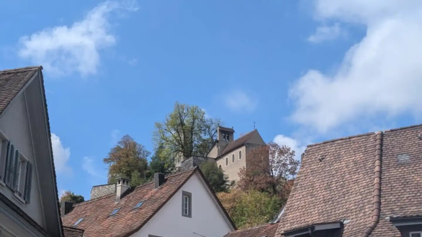Gewerbe mieten - Weite Gasse 34, 5400 Baden