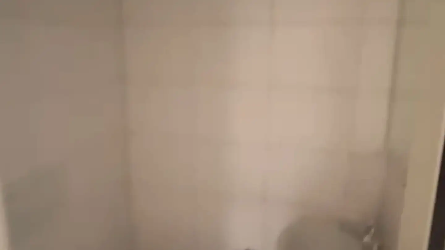 Stanza singola in affitto - Tulpenstrasse 43, 8051 Zürich - Foto 2