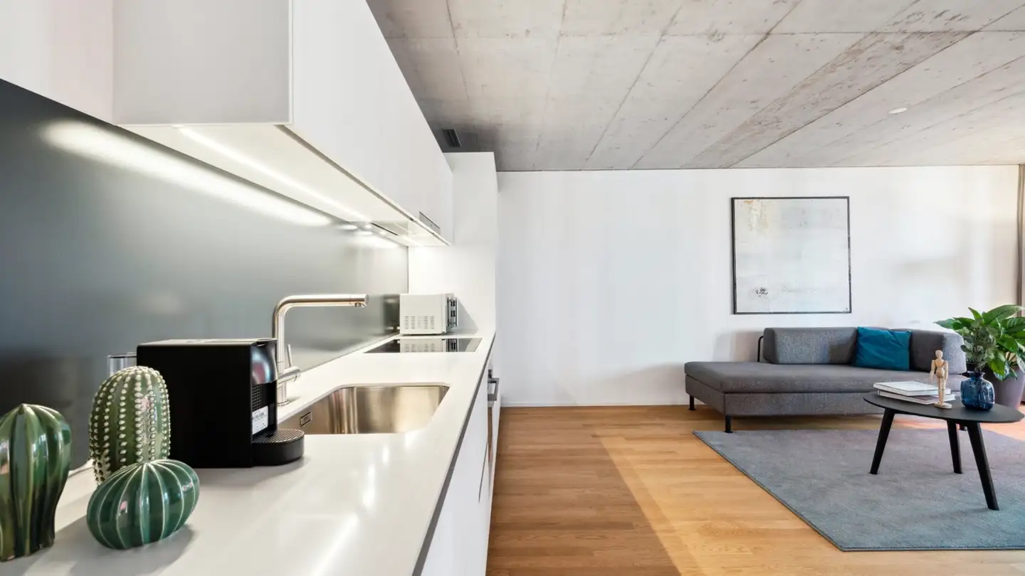 Möblierte Wohnung mieten - Tribschenstrasse 62a, 6005 Luzern - Foto 2