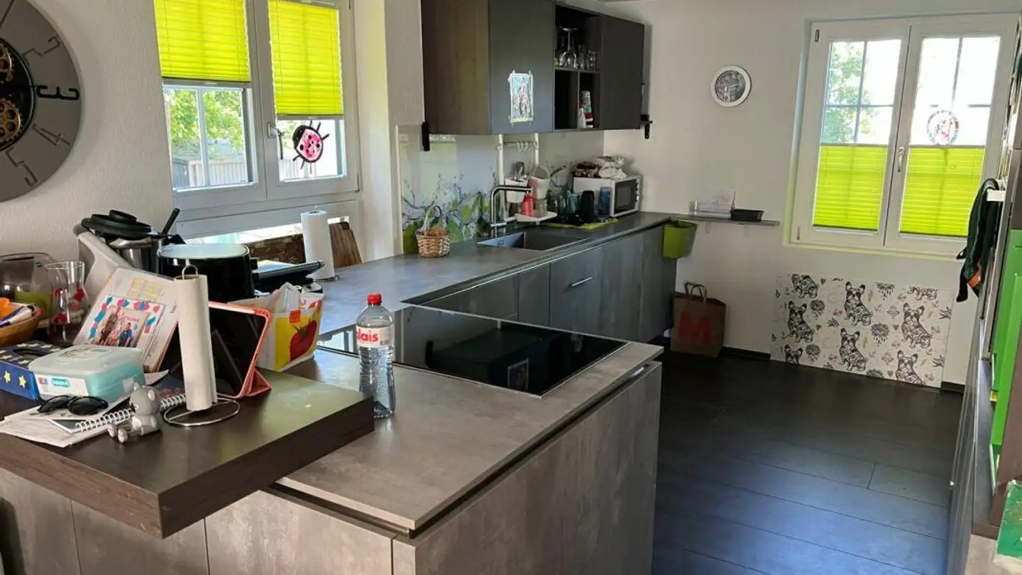Single house for sale - 8200 Schaffhausen - Photo 3