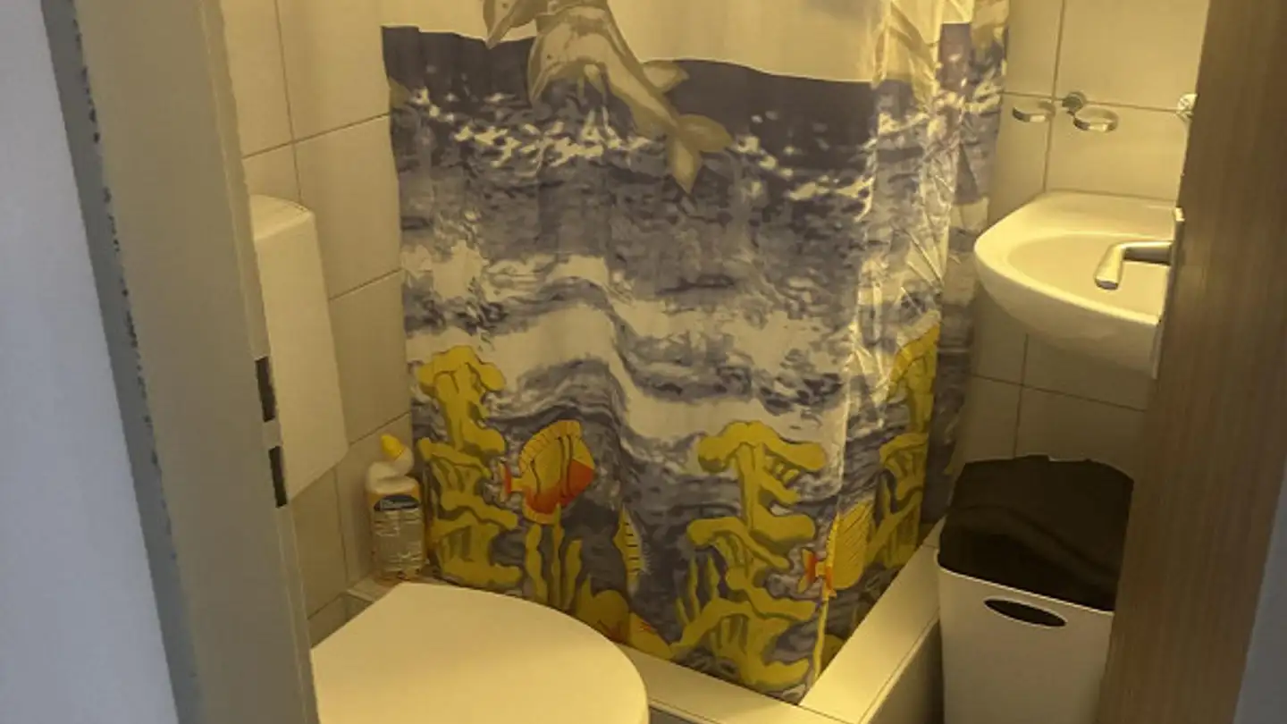 Wohnung mieten - Rollimatt 4, 4614 Hägendorf - Foto 3