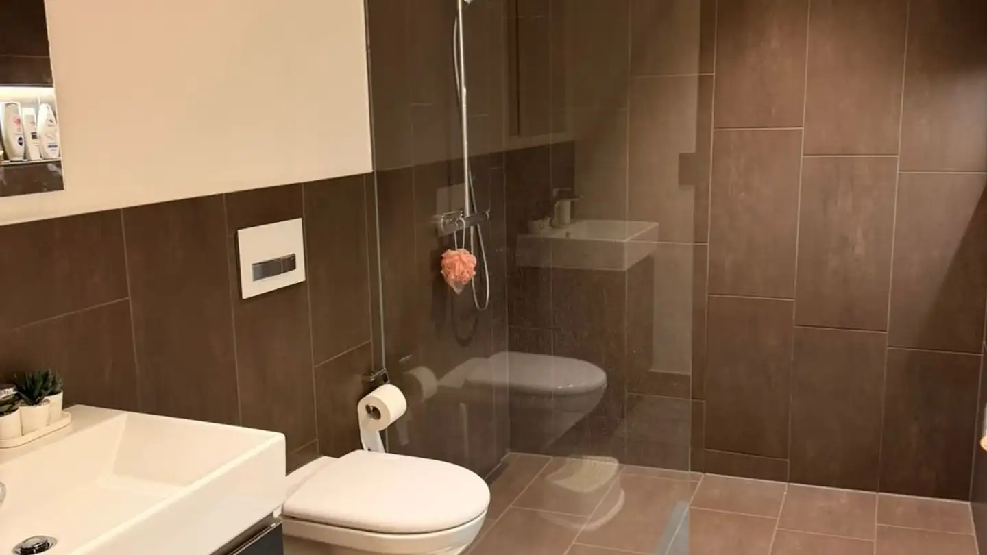 Appartamento in affitto - Hörnlistrasse 7, 6403 Küssnacht am Rigi - Foto 4