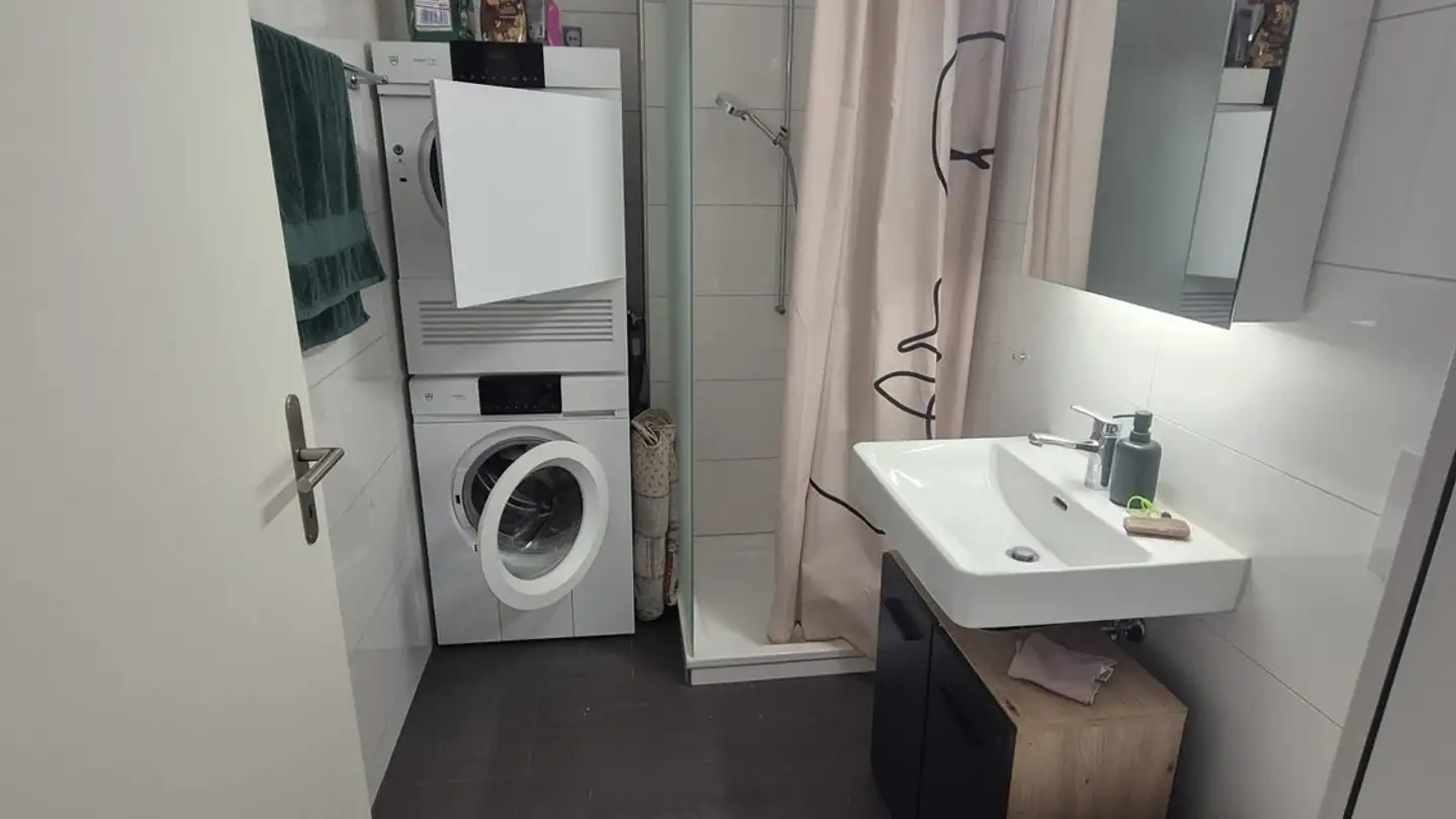 Furnished apartment for rent - 8052 Zürich