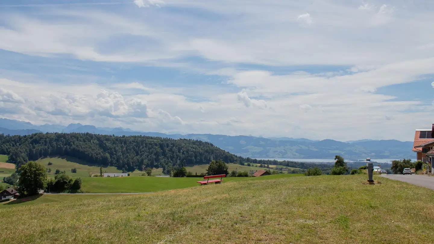 Einfamilienhaus kaufen - 8636 Wald ZH