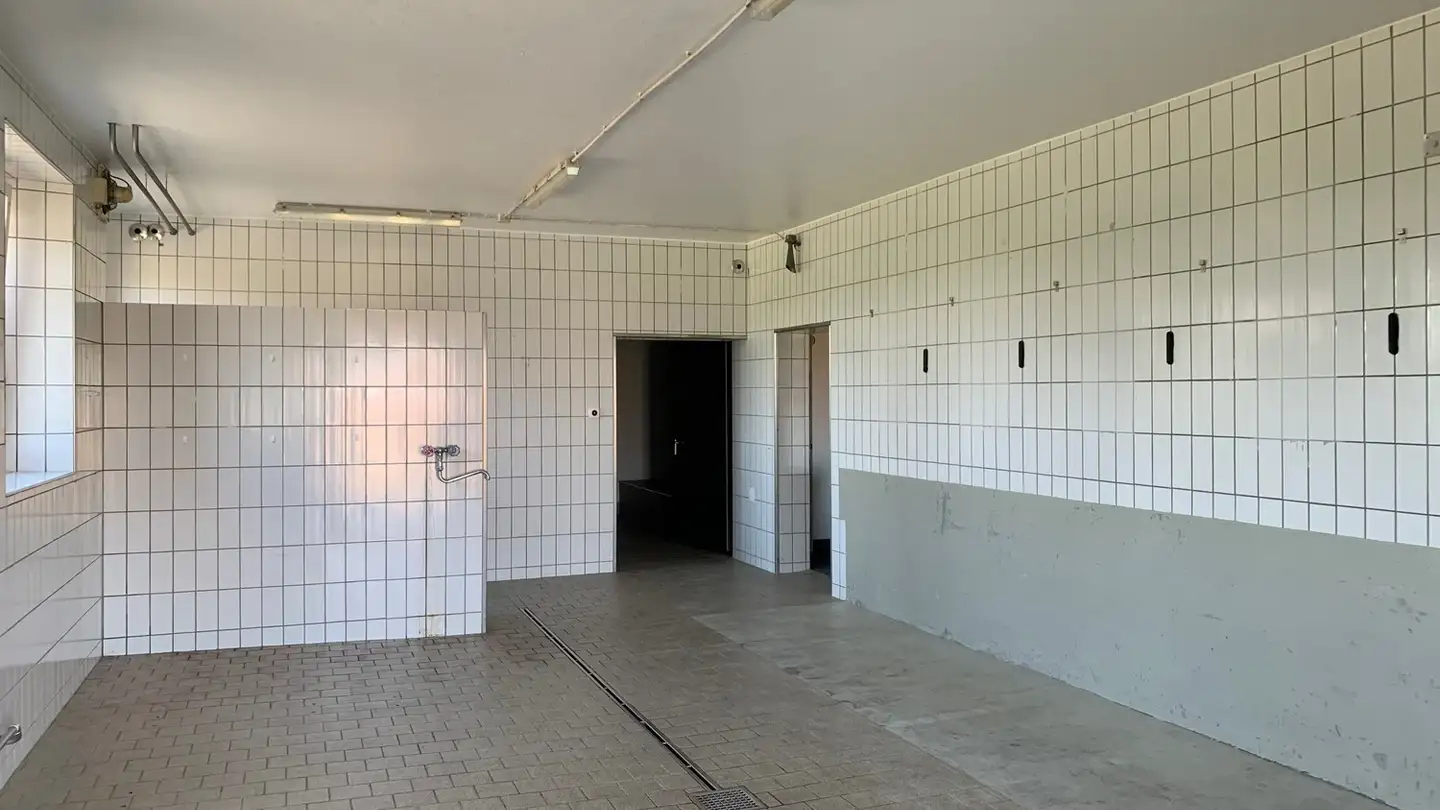 Commerciale in affitto - Frauenfelderstrasse 94, 8514 Amlikon-Bissegg - Photo 3