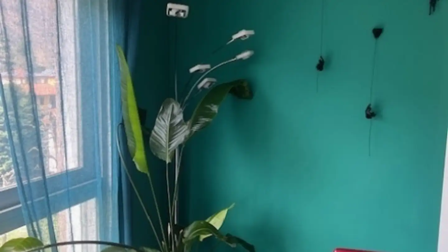 Appartamento in affitto - 6825 Capolago - Photo 2