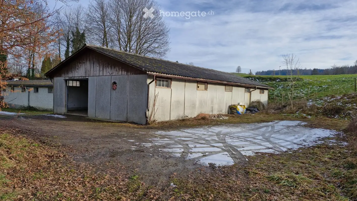 Single house for rent - 9215 Buhwil