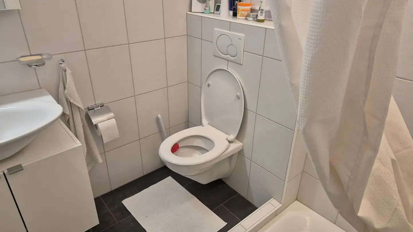 Appartamento in affitto - Wartenbergstrasse 8a, 4133 Pratteln - Foto 3