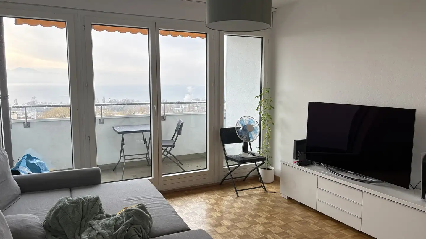 Appartamento in affitto - Chemin De Rionza 3, 1020 Renens VD