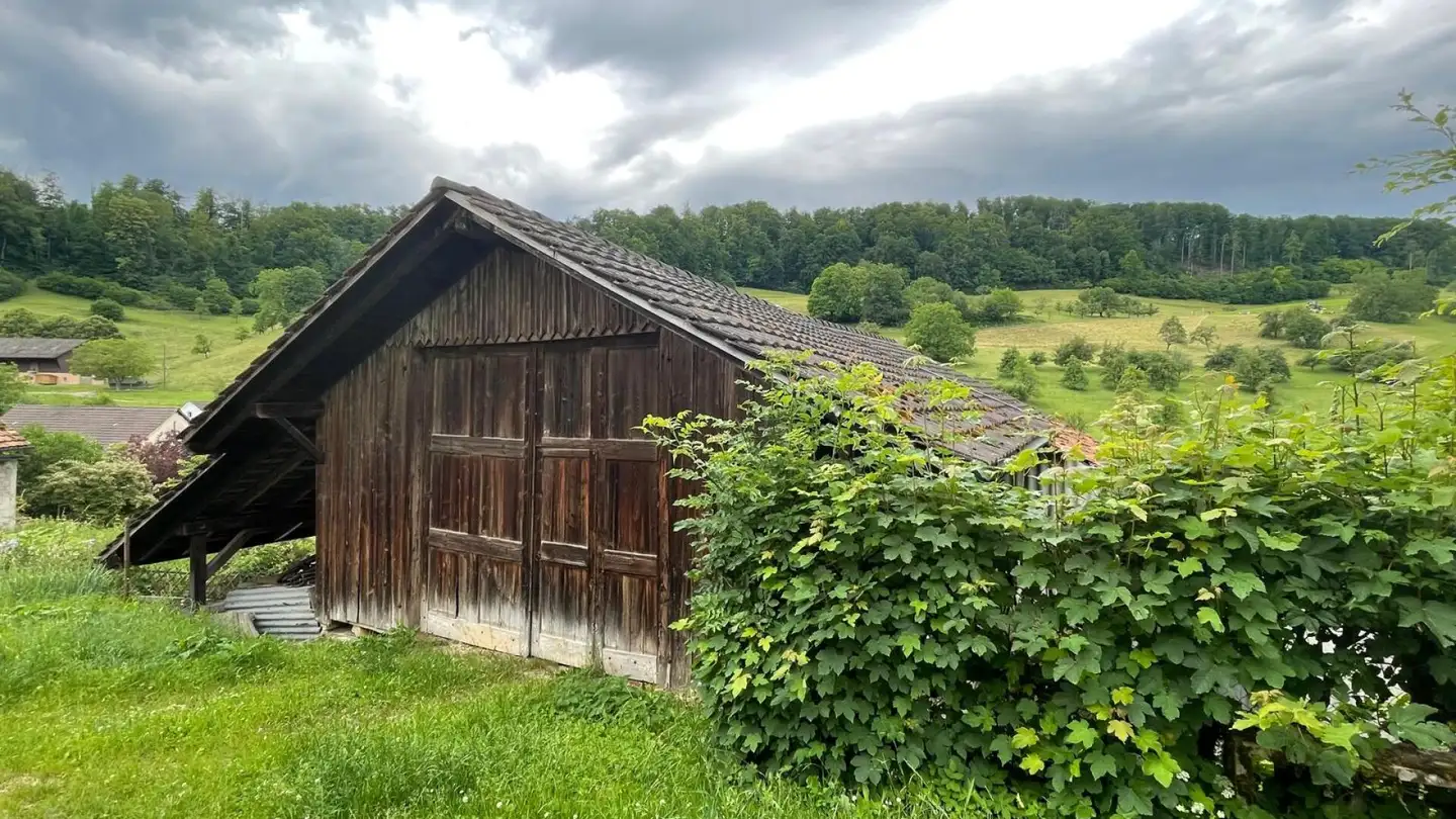 Bauernhof kaufen - 4451 Wintersingen - Foto 2