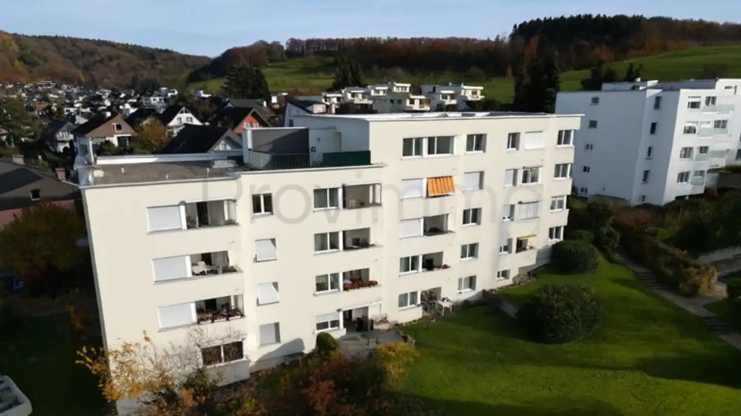 Appartement à vendre - 5412 Gebenstorf - Photo 3