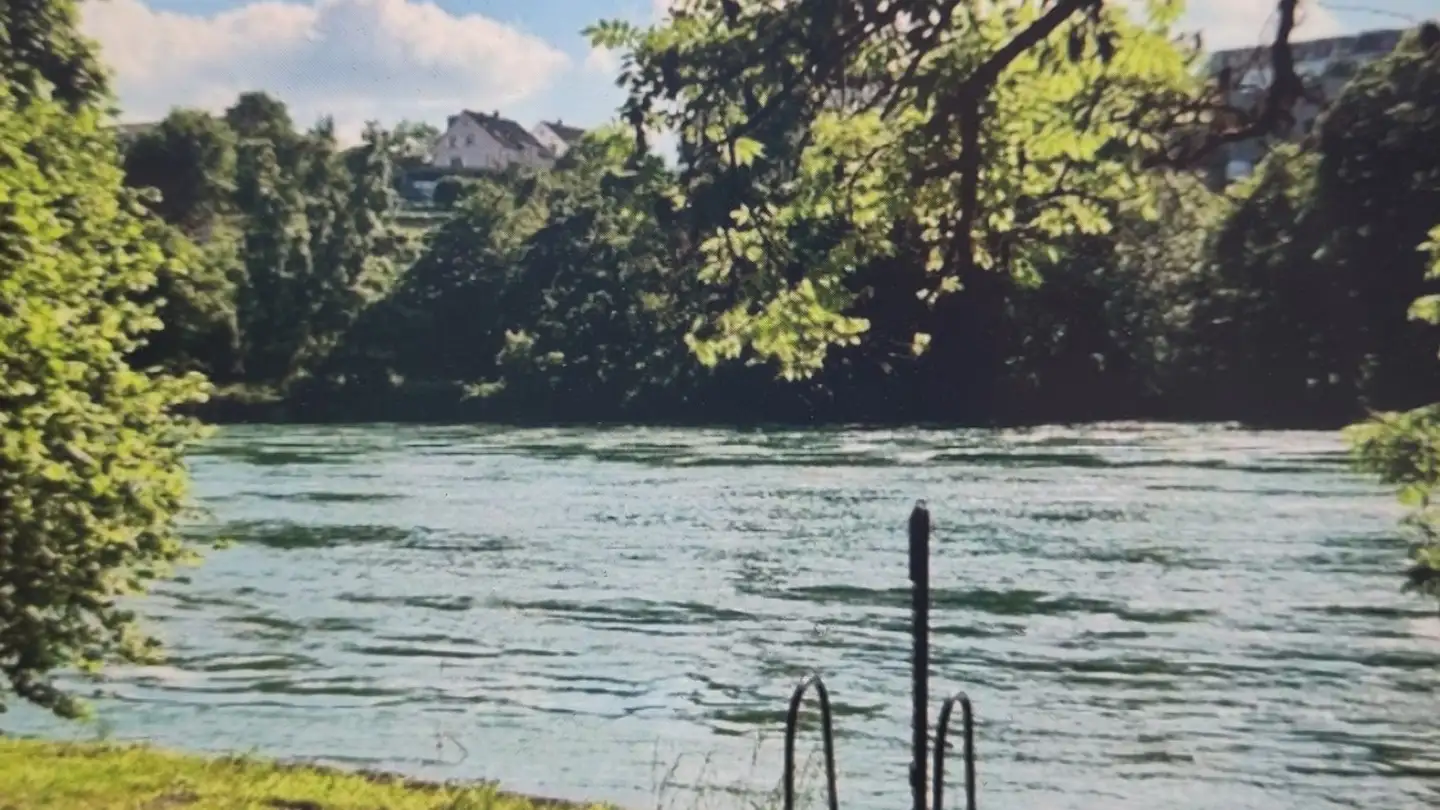 Appartamento in affitto - Gründenstrasse 47, 8247 Flurlingen - Foto 3