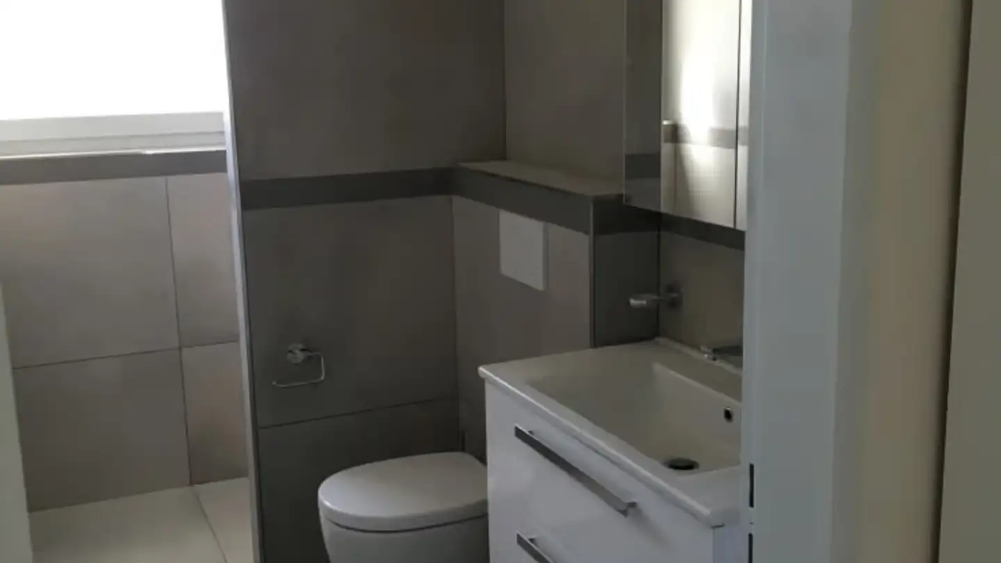 Appartamento in affitto - Dammwiesenstrasse 11b, 8406 Winterthur - Foto 2