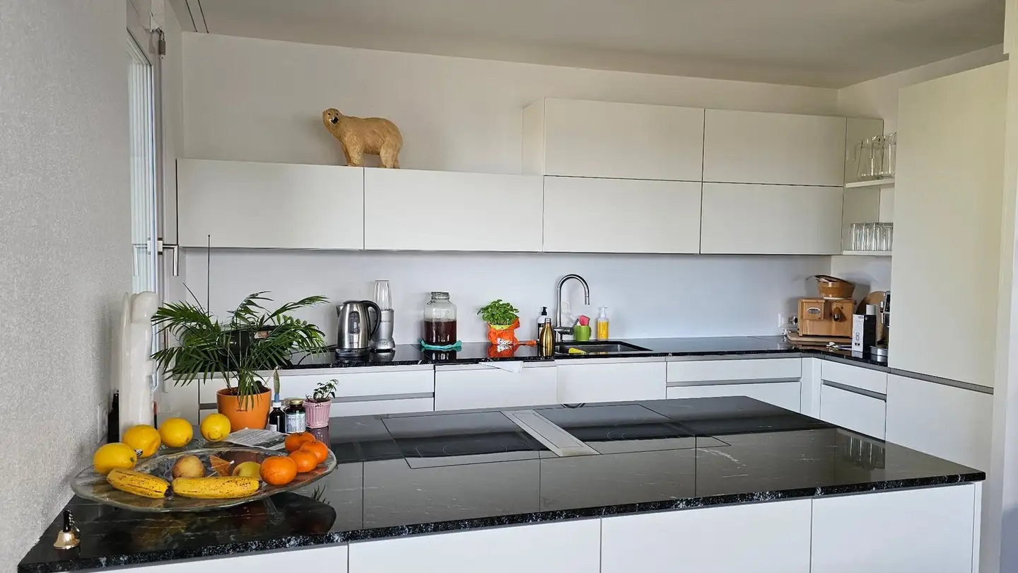 Single room for rent - Oberer Höhenweg 11, 8266 Steckborn - Photo 2