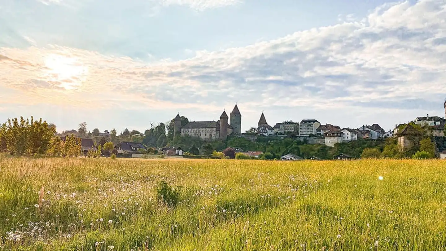 Wohnung kaufen - 1470 Estavayer-le-Lac - Foto 3