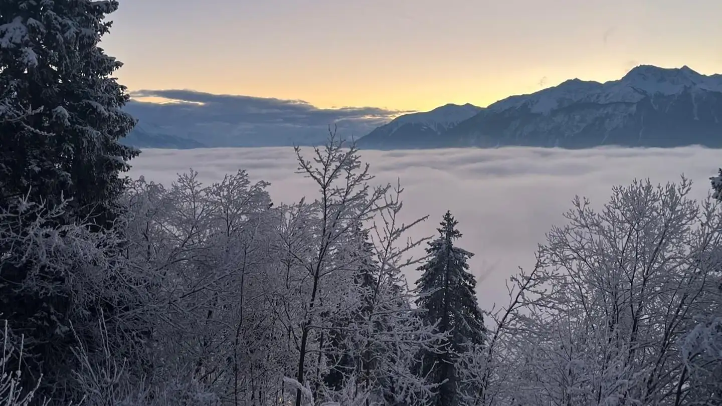 Wohnung kaufen - 3963 Crans-Montana