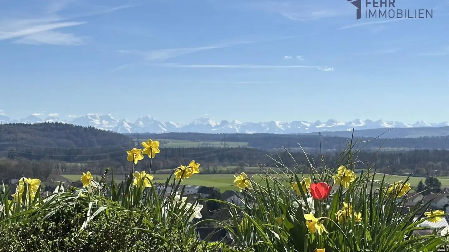 Wohnung kaufen - Am Gässli 27, 2553 Safnern - Foto 2