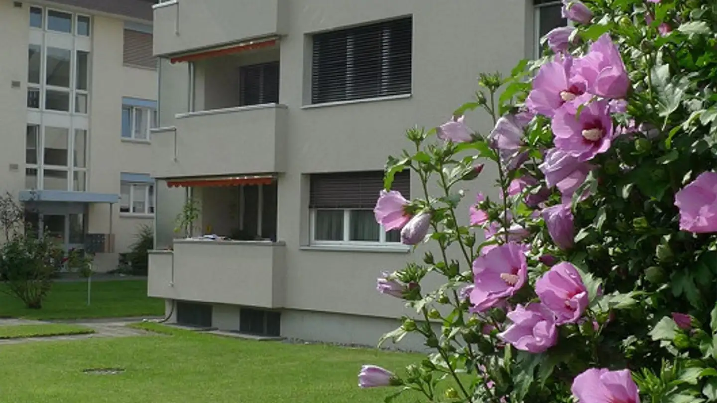 Appartement à louer - 8590 Romanshorn